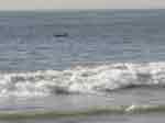Copy of DSC08110